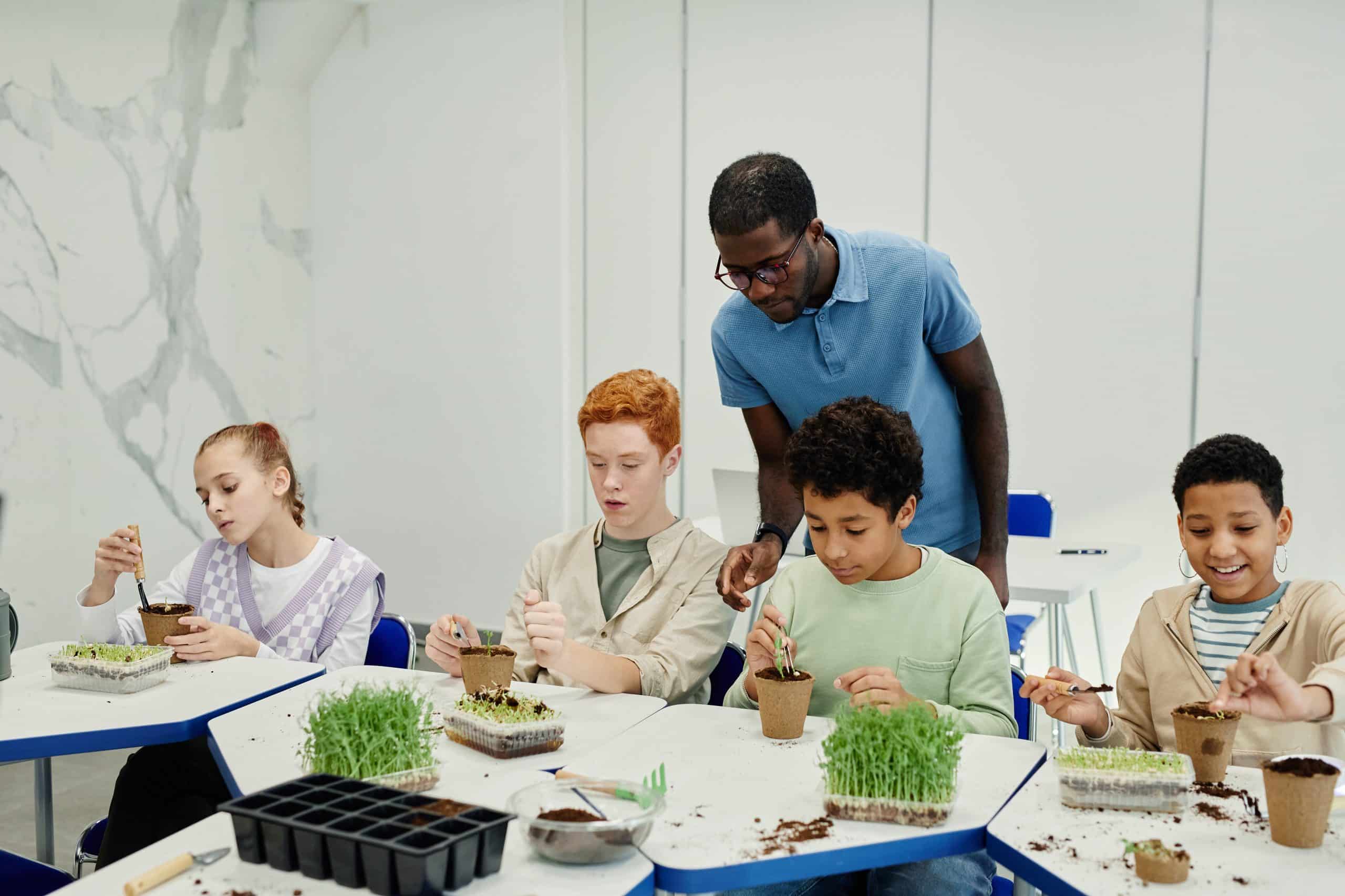 school based education support